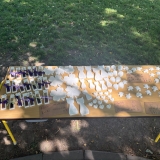 1000065822
