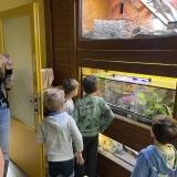 IMG_8358