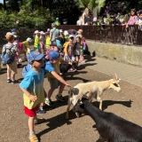 IMG-20260527-WA0025