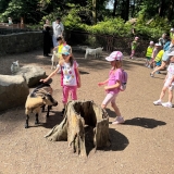 IMG-20260527-WA0024