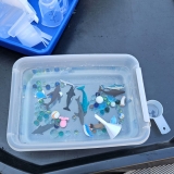 IMG-20260602-WA0013