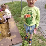 20260605_094102