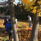 52D844CF-9B6F-4BF9-8324-BAF6493B0FBA