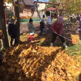 244D8F6D-656C-4F44-9F4C-A9330874EE37