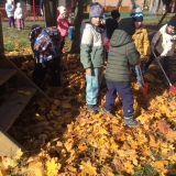 1581217A-D479-4401-B2DF-6DF076F29B29