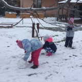 50B6E7C8-354E-413B-A317-D7769EBBE148