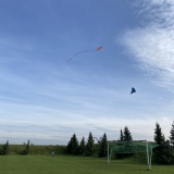 IMG_5252