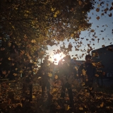 20261021_081824