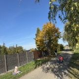 IMG_0080