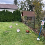 IMG-20261015-WA0123